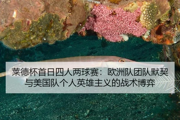 lai-de-bei-shou-ri-si-ren-liang-qiu-sai-ou-zhou-dui-tuan-dui-mo-qi-yu-mei-guo-dui-ge-ren-ying-xiong-zhu-yi-de-zhan-shu-3-207.jpg
